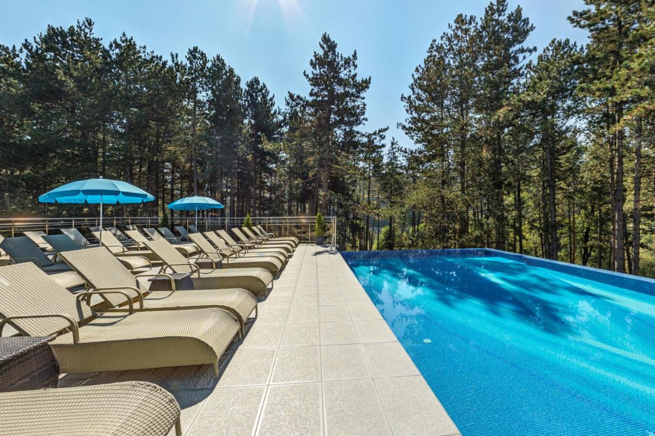 Villa Dea & Villa Ina - Villas & Spa Park In Velingrad Bagian luar foto